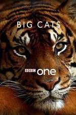 Watch Big Cats Soap2day