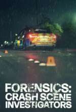 Watch Forensics: Crash Scene Investigators Soap2day