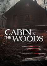 Watch Cabin in the Woods Soap2day