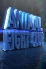 Watch Animal Fight Club  Soap2day