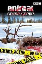 Watch Animal Crime Scene Soap2day