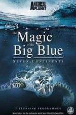 Watch The Magic of the Big Blue Soap2day