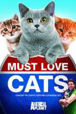Watch Must Love Cats Soap2day