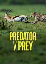 Watch Predator v Prey Soap2day