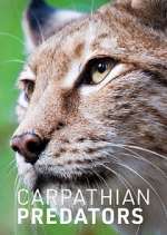 Watch Carpathian Predators Soap2day