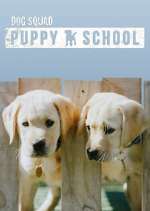 Watch Dog Squad: Puppy School Soap2day