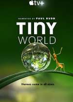 Watch Tiny World Soap2day