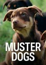 Watch Muster Dogs Soap2day