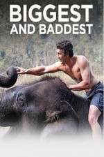 Watch Biggest and Baddest Soap2day