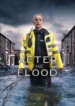 Watch After the Flood Soap2day