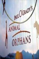 Watch Paul O'Grady's Animal Orphans Soap2day