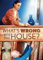 Watch What's Wrong With That House? Soap2day