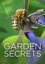 Watch Garden Secrets Soap2day