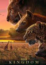 Watch Kingdom Soap2day