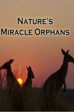 Watch Nature's Miracle Orphans Soap2day