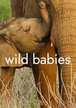 Watch Wild Babies Soap2day