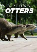 Watch Uptown Otters Soap2day