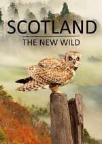 Watch Scotland - The New Wild Soap2day