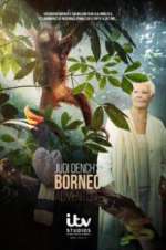 Watch Judi Dench\'s Wild Borneo Adventure Soap2day