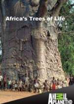 Watch Africa's Trees of Life Soap2day