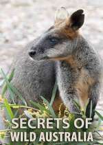 Watch Secrets of Wild Australia Soap2day