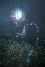 Watch Into the Universe with Stephen Hawking Soap2day