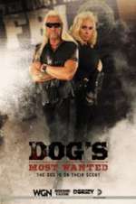 Watch Dog\'s Most Wanted Soap2day