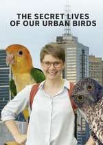 Watch The Secret Lives of Our Urban Birds Soap2day