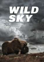 Watch Wild Sky Soap2day