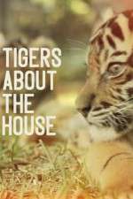 Watch Tigers About the House Soap2day