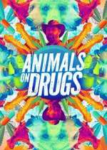 Watch Animals on Drugs Soap2day