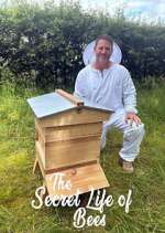 Watch The Secret Life of Bees Soap2day