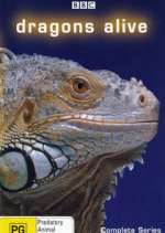 Watch Dragons Alive Soap2day