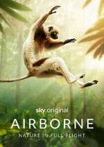 Watch Airborne Soap2day