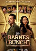 Watch The Barnes Bunch Soap2day