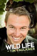 Watch The Wild Life of Tim Faulkner Soap2day