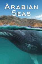 Watch Arabian Seas Soap2day