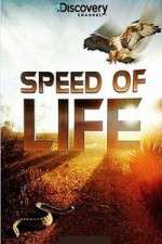 Watch Discovery Channel Speed Of Life Soap2day
