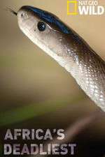 Watch Africas Deadliest Soap2day