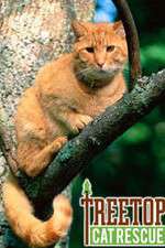 Watch Treetop Cat Rescue Soap2day