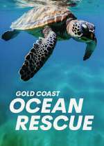 Watch Gold Coast Ocean Rescue Soap2day