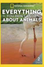 Watch Everything You Didnt Know About Animals Soap2day