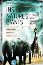 Watch Inside Nature's Giants Soap2day