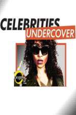 Watch Celebrities Undercover Soap2day