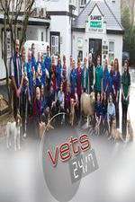 Watch Vets 24/7 Soap2day