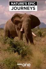 Watch Nature's Epic Journeys Soap2day