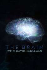 Watch The Brain with Dr David Eagleman Soap2day